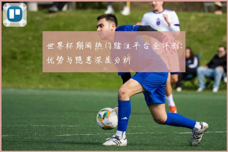 世界杯期间热门赌注平台全评测：优势与隐患深度分析