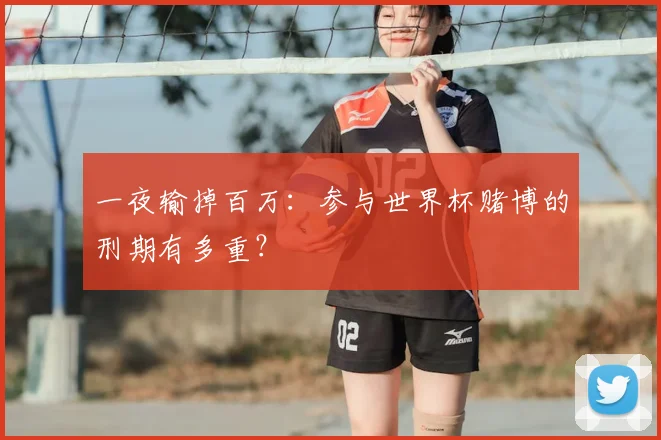 一夜输掉百万：参与世界杯赌博的刑期有多重？