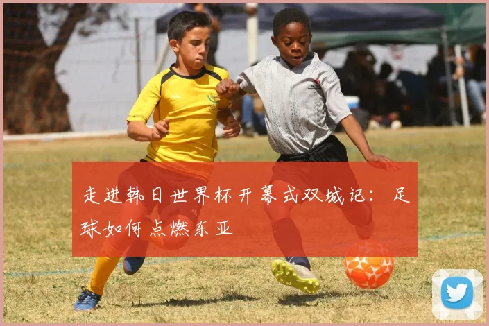 走进韩日世界杯开幕式双城记：足球如何点燃东亚